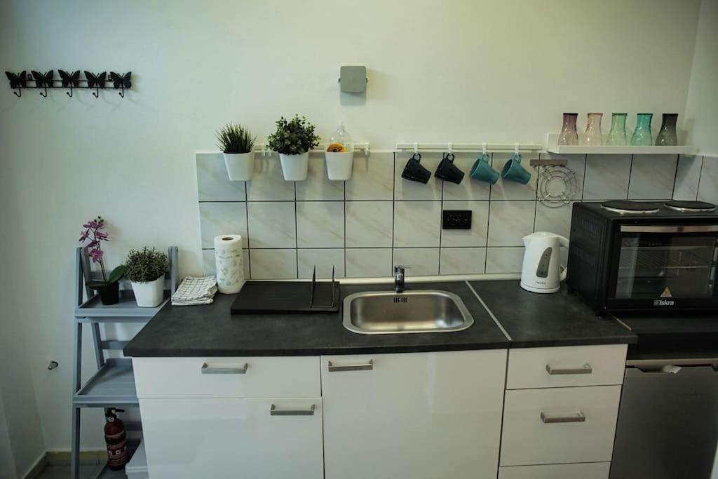 Studio Apartman Gajba In City Center 萨格勒布 外观 照片